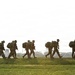 Keesler hosts Warrior Day Combat Readiness event