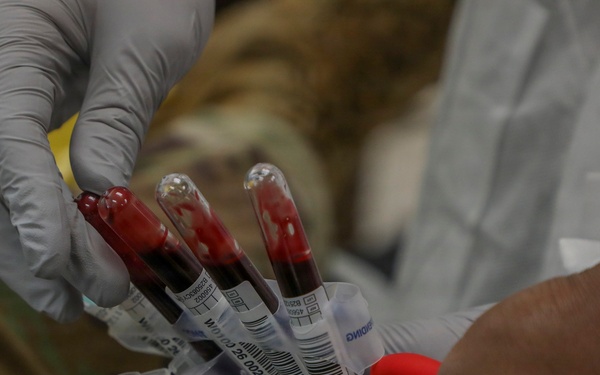593rd CSC Hosts Blood Drive
