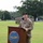 110th Aviation Brigade Changes Command 2026 110th Aviation Brigade Changes Command 2026