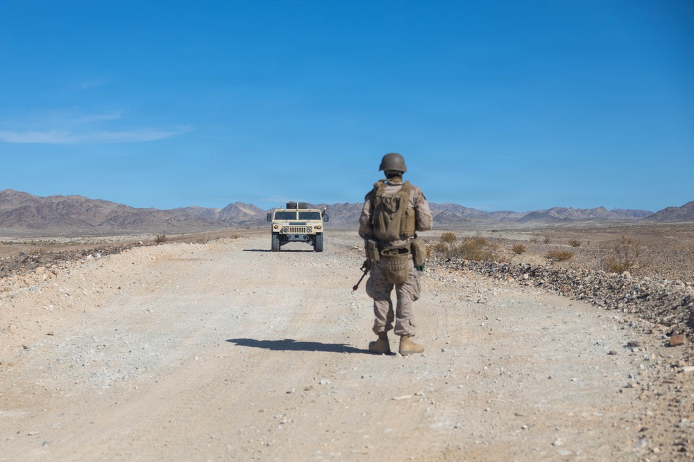U.S. Marines with Combat Logistics Battalion 2 conduct Land Combat Element Forward Security training