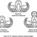 Birth of the EOD badge - “Initial Success, or Total Failure”