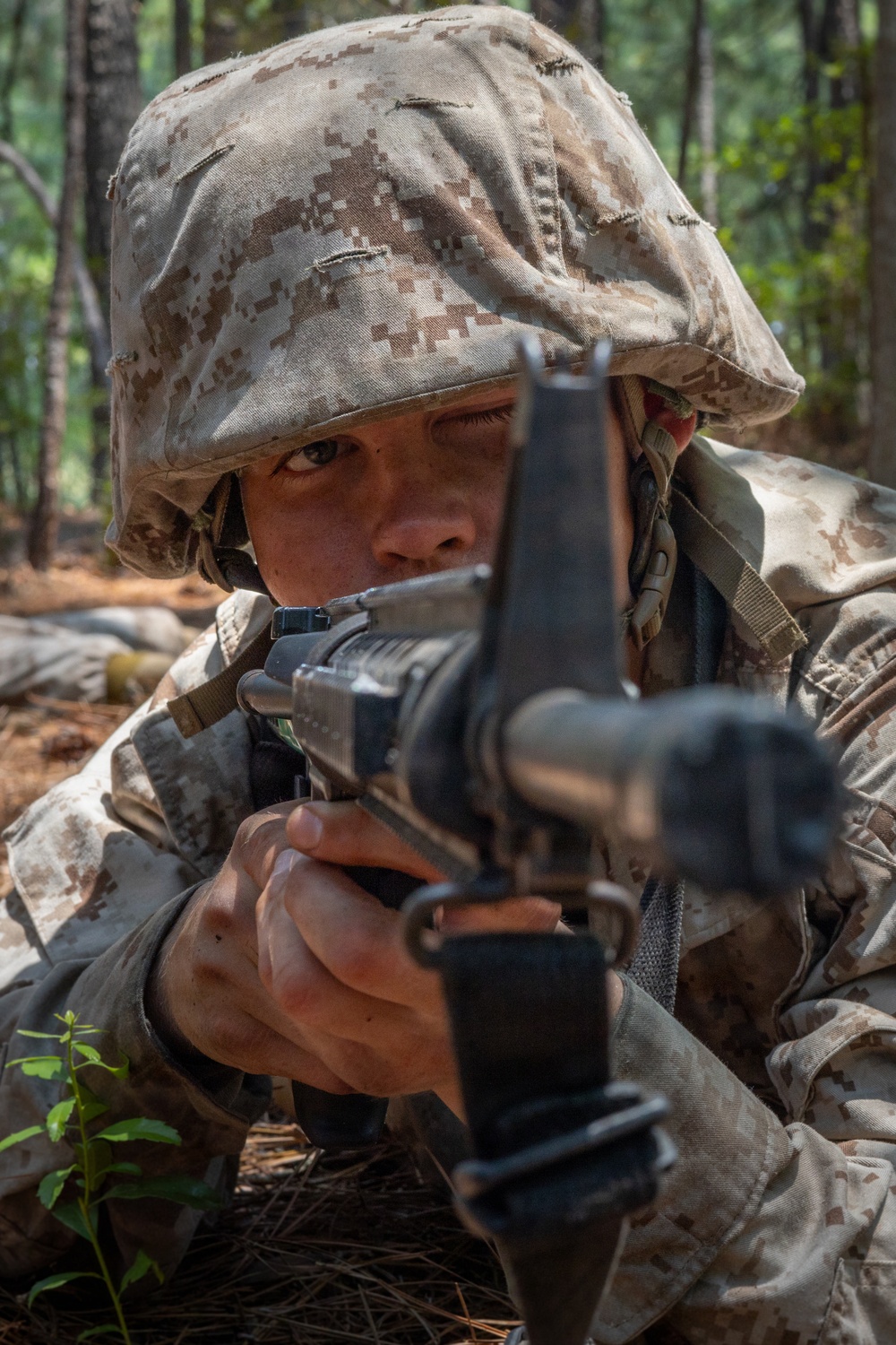 Bravo Company Crucible