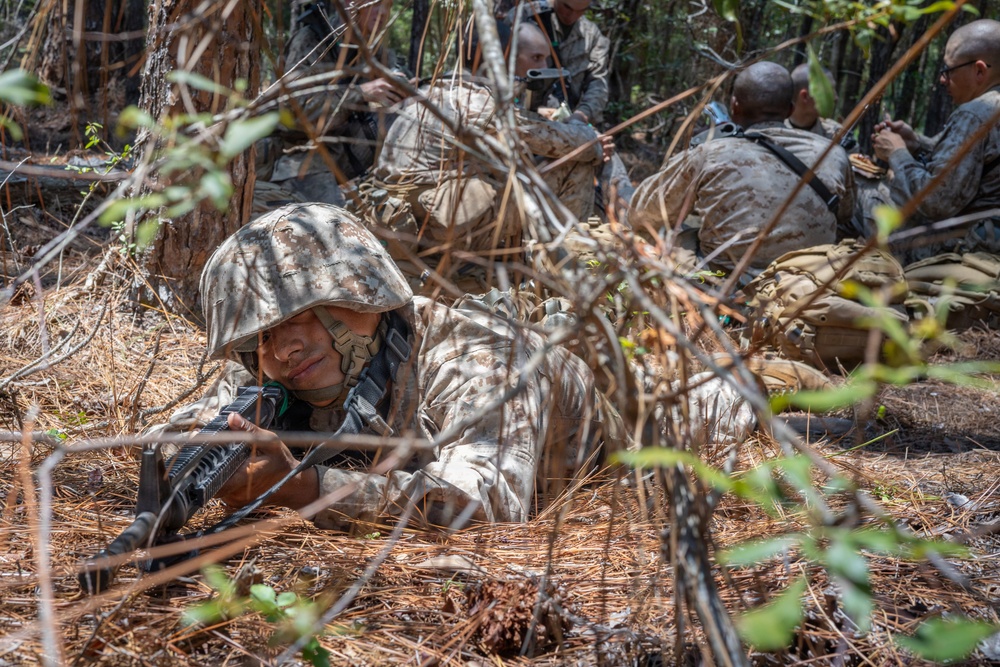 Bravo Company Crucible