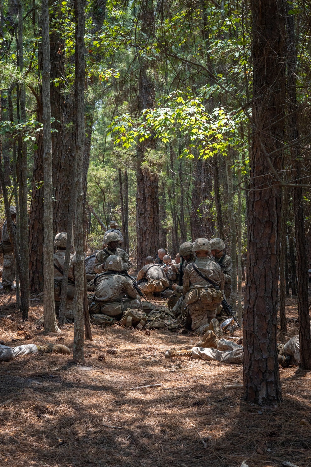 Bravo Company Crucible