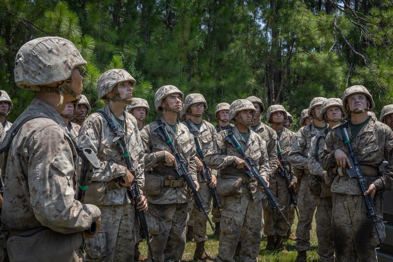 Bravo Company Crucible