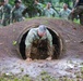 Maj. Gen. James B. Bartholomees says farewell with final PT