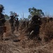 Predator’s Run 26: MRF-D Marines conduct platoon attack drills