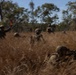Predator’s Run 26: MRF-D Marines conduct platoon attack drills