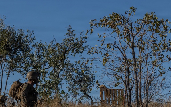 Predator’s Run 26: MRF-D Marines conduct platoon attack drills