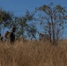 Predator’s Run 26: MRF-D Marines conduct platoon attack drills
