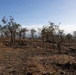 Predator’s Run 26: MRF-D Marines conduct multinational live fire