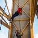 A person in a red shirt and black pants is rappelling down a concrete training tower with yellow steel framework, while a Marine in camouflage utilities and olive drab t-shirt acts as a belayer on the ground controlling the rope. The setting appears to be a military installation rappelling tower, likely used for training exercises. The Marine is managing the safety rope from below while the rappeller descends the wall face.