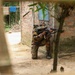 U.S. and Bangladesh Forces Strengthen Skills during FTX