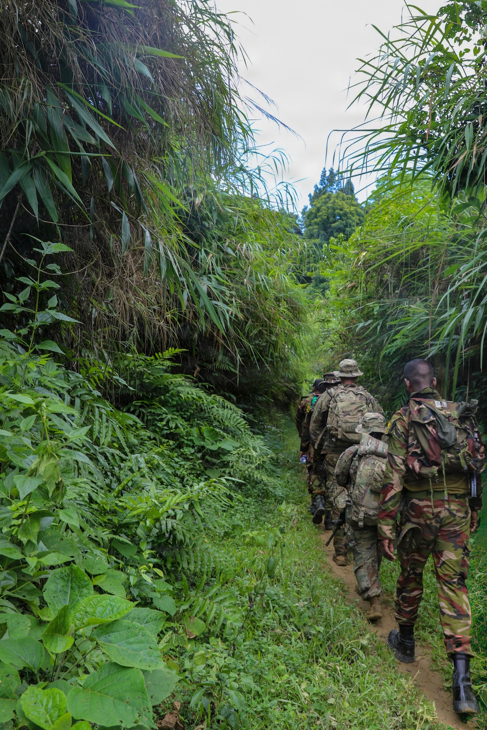 U.S. and Bangladesh Forces Strengthen Skills during FTX
