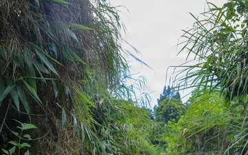 U.S. and Bangladesh Forces Strengthen Skills during FTX