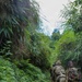 U.S. and Bangladesh Forces Strengthen Skills during FTX