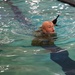 USASMDCBSC 2026 Combat Water Survival Test