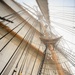 USCG Eagle Square Rigger Olympics