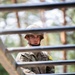 USAREUR-AF Best Squad Obstacle Course