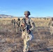 310th Expeditionary Sustainment Command units are evaluated on their Mission Essential Tasks during Operation Bold Eagle