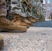 JTF-DC Georgia National Guardsmen recognized for achievements on patrol