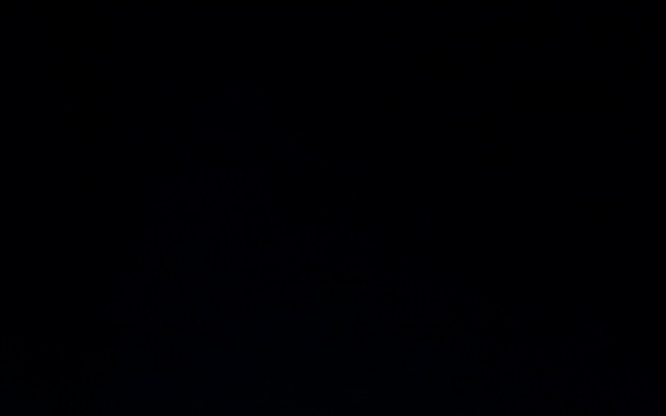 F-22 Raptor under the lights