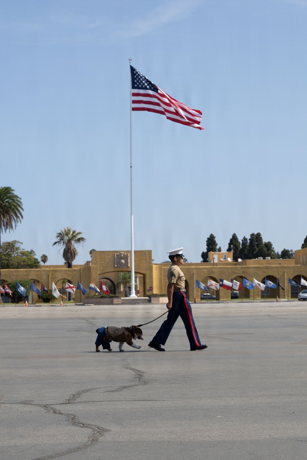 India Company Graduation
