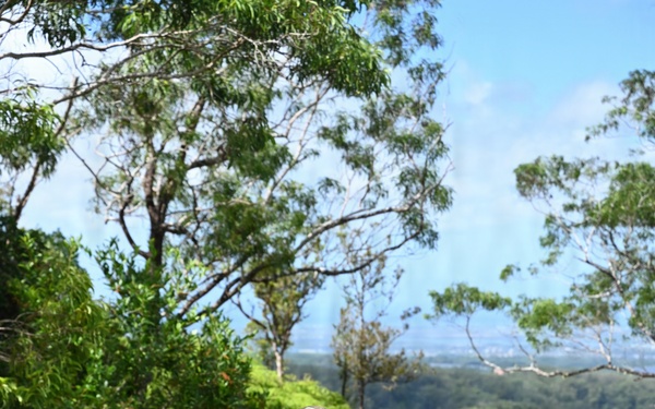 178th Security Forces Airmen conduct annual training at Schofield Barracks