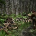 178th Security Forces Airmen conduct annual training at Schofield Barracks