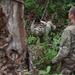 178th Security Forces Airmen conduct annual training at Schofield Barracks