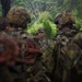 178th Security Forces Airmen conduct annual training at Schofield Barracks