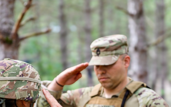 Sgt. 1st Class Christian Roman-Ramos Promotion Ceremony