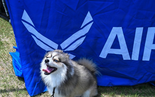 Dog Daze with ALANG Recruiting