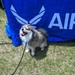 Dog Daze with ALANG Recruiting