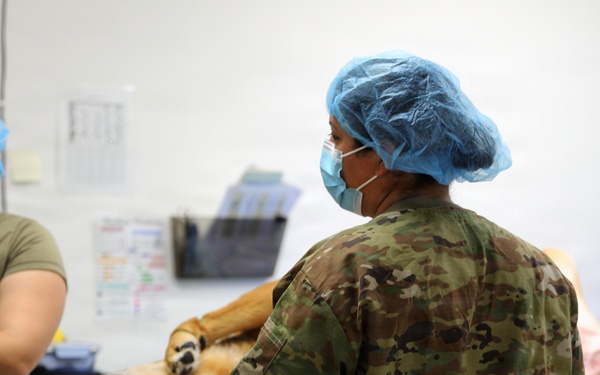 Sparta Vet Clinic 109th Medical Detachment (Veterinary Services) WAREX 2026