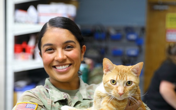 Sparta Vet Clinic 109th Medical Detachment (Veterinary Services) WAREX 2026