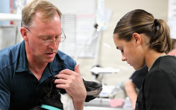 Sparta Vet Clinic 109th Medical Detachment (Veterinary Services) WAREX 2026