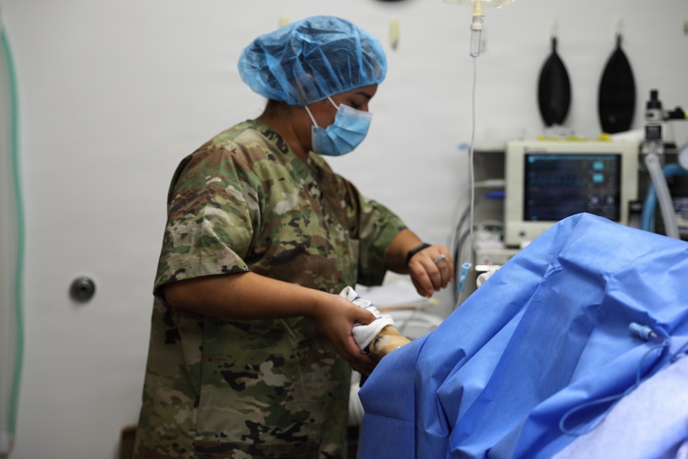Sparta Vet Clinic 109th Medical Detachment (Veterinary Services) WAREX 2026