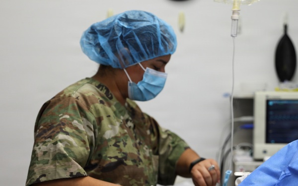 Sparta Vet Clinic 109th Medical Detachment (Veterinary Services) WAREX 2026