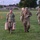 84th Training Command Leads the Way with the Combat Field Test