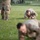 84th Training Command Leads the Way with the Combat Field Test