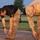 84th Training Command Leads the Way with the Combat Field Test