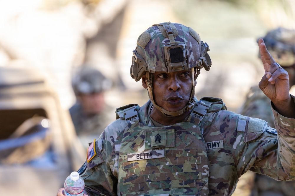 Operation Bold Eagle