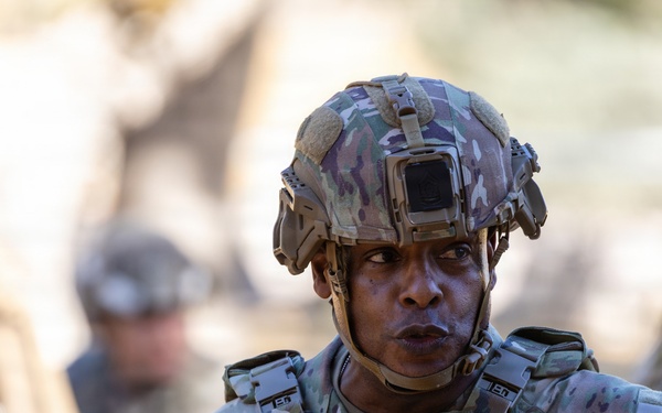 Operation Bold Eagle