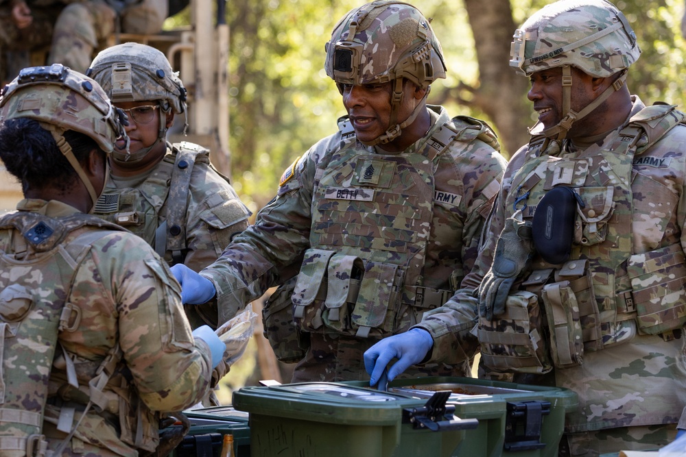 Operation Bold Eagle