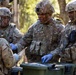 Operation Bold Eagle