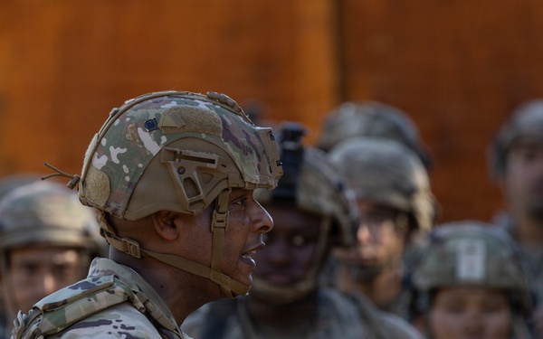 Operation Bold Eagle