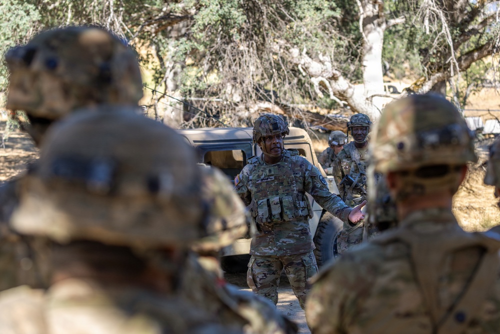 Operation Bold Eagle