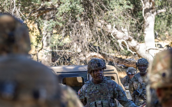 Operation Bold Eagle