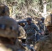 Operation Bold Eagle